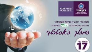 המהלך האסטרטגי ה-17