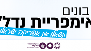 איך בונים אימפריית נדל"ן? תשאלו את אפריקה ישראל!